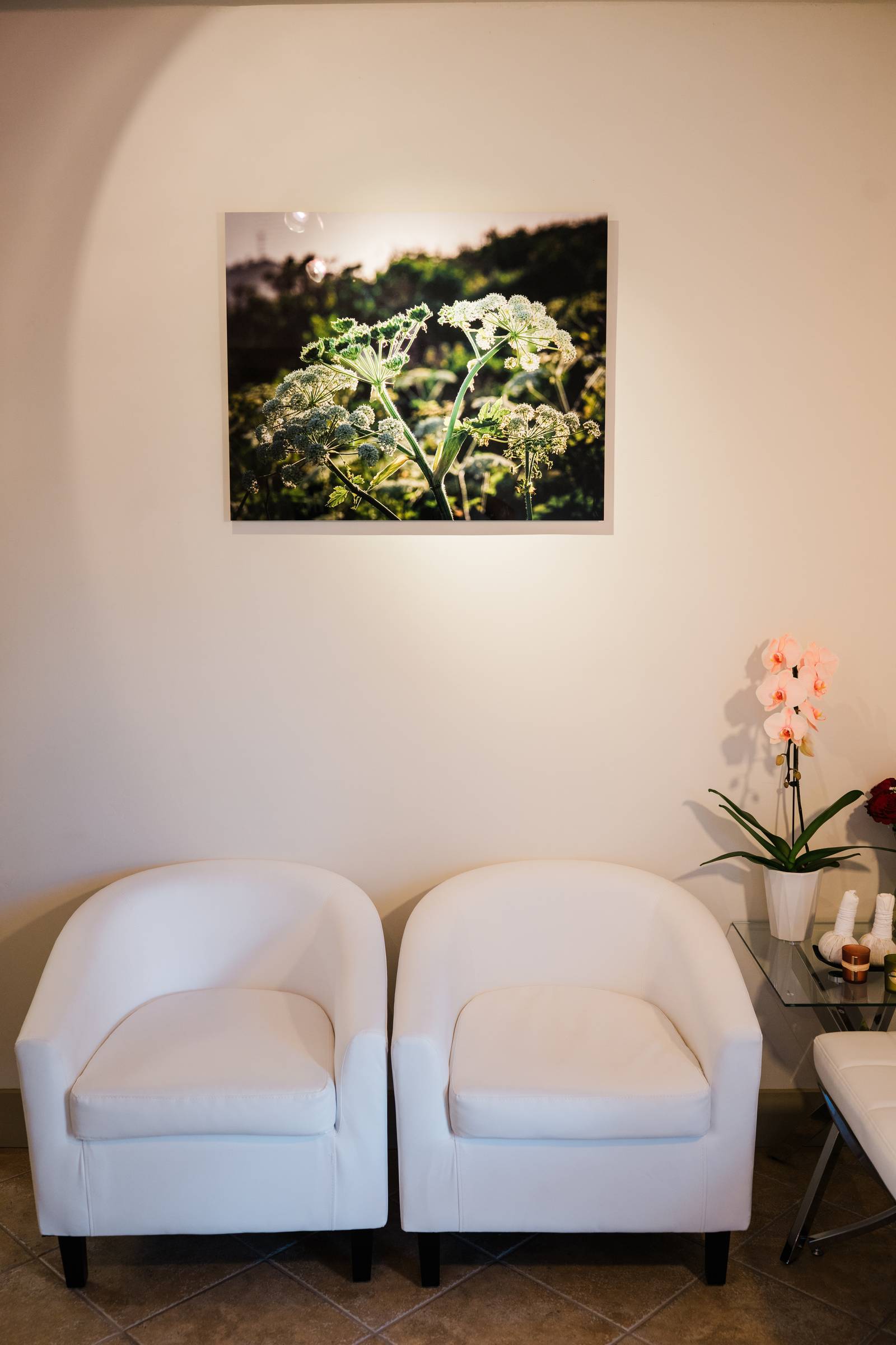 Lobby area showcasing spa's peaceful interior design